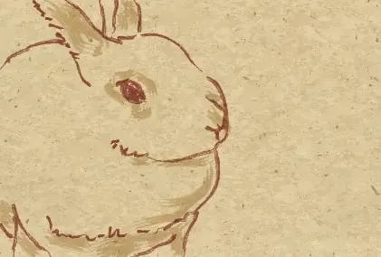 うさぎ