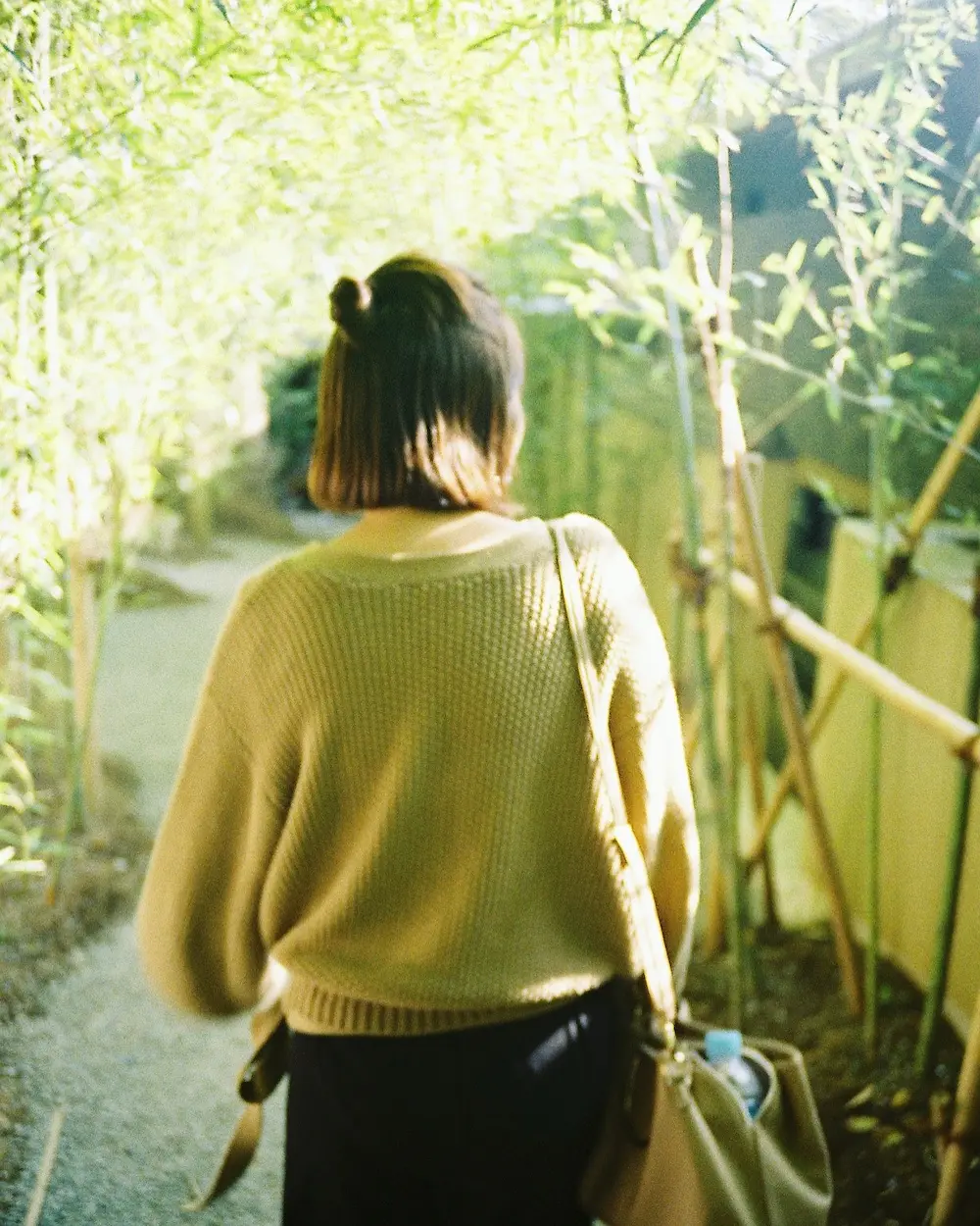 竹林